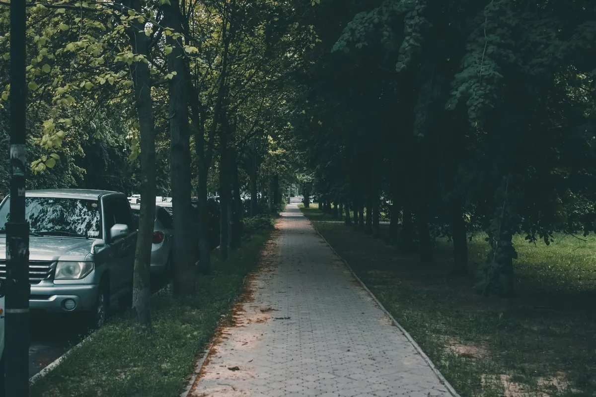 A Seasonal Guide to Walks and Green Spaces Near Glade Court